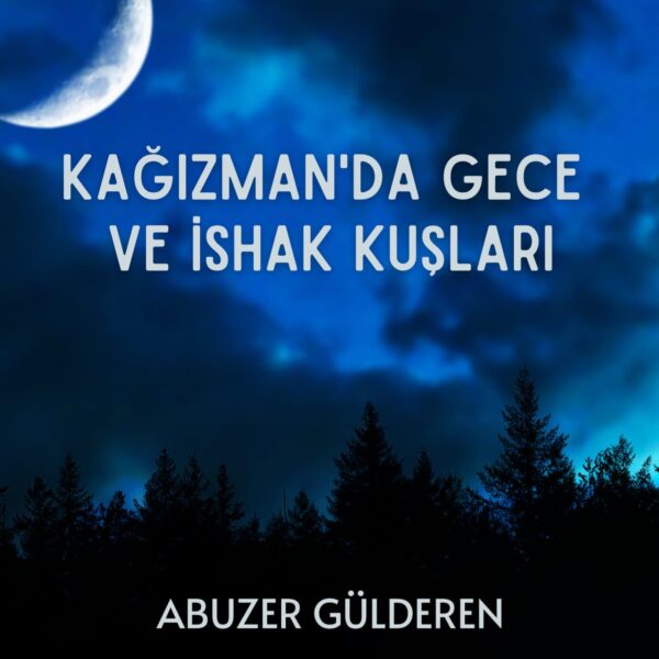 Kağızmanda Gece Ve İshak Kuşları-Abuzer Gülderen
